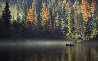 Картинка осень, осенние, время года, сезоны, сезонные, лес, деревья, дерево, природа, вода, озеро, пруд, лодка, туман, дымка