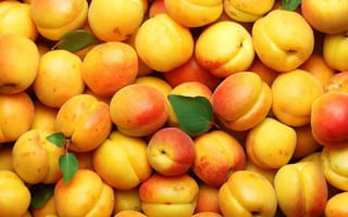 Картинка абрикос, фрукт, фрукты