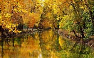 Картинка осень, осенние, время года, сезоны, сезонные, лес, деревья, дерево, природа, парк, река, лист, листья, листва, отражение
