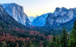 Картинка Йосемитский Национальный Парк, Йосемитский, национальный парк, США, Калифорния, горы, гора, природа, лес, деревья, дерево, скала, осень