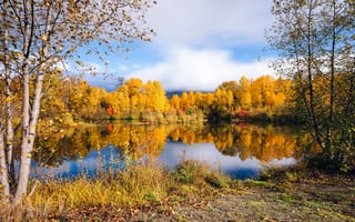 Картинка осень, осенние, время года, сезоны, сезонные, вода, озеро, пруд, лес, деревья, дерево, природа