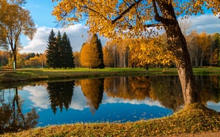 Картинка парк, природа, осень, осенние, время года, сезоны, сезонные, отражение