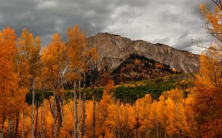 Картинка гора, осень, осенние, время года, сезоны, сезонные, лес, деревья, дерево, природа