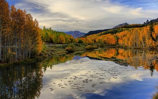 Картинка осень, осенние, время года, сезоны, сезонные, вода, озеро, пруд, лес, деревья, дерево, природа