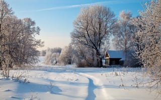 Картинка зима, зимние, время года, сезоны, сезонные, пейзаж, природа, белый, снег, дерево, дом