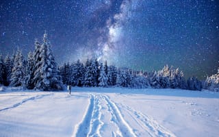 Картинка зима, зимние, время года, сезоны, сезонные, снег, белый, лес, деревья, дерево, природа, пейзаж, ночь, темнота, звезды, звезда, Млечный Путь