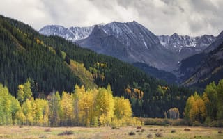 Картинка горы, гора, природа, лес, деревья, дерево, осень