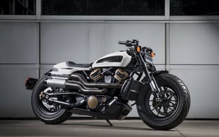 Картинка Harley Davidson, Harley, Davidson, Харли-Дэвидсон, байк, спортбайк, мотоцикл, вид сбоку, сбоку