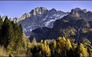 Картинка горы, гора, природа, пейзаж, скала, лес, деревья, дерево, осень