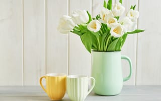 Картинка тюльпан, цветок, цветы, растение, растения, цветочный, ваза, чашка