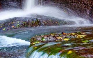 Картинка водопад, природа, камень, ручей, река, осень