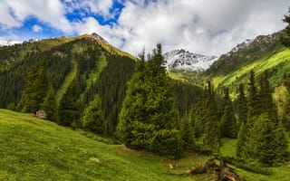 Картинка горы, гора, природа, Киргизия, луг, лес, деревья, дерево, облака, туча, облако, тучи, небо