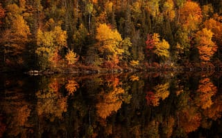 Картинка озера, озеро, природа, вода, пейзаж, лес, деревья, дерево, осень, отражение