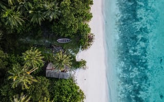 Картинка океан, море, вода, природа, Мальдивы, остров, берег, побережье, песок, песчаный, пляж, тропики, тропический, пальма, дерево, отпуск, лодка, сверху, c воздуха, аэросъемка, с дрона