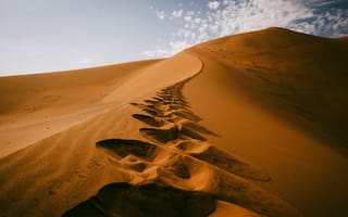 Картинка пустыня, песок, песчаный, природа, дюна, засушливый, холм, бархан