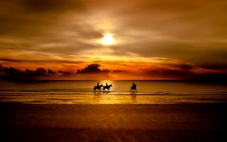 Картинка закат, кони, всадники, природа, море