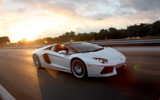 Картинка Lamborghini, родстер, Roadster, sky, road, white, sun, белый, LP700-4, Aventador, суперкар