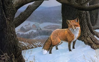 Картинка Jerry Gadamus, поле, снег, Little Red, рыжая, зима, лиса, живопись, дом, лес