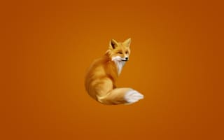 Картинка лиса, хвост, пушистая, оранжевый фон, fox