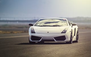 Обои Lamborghini, ламборгини, Gallardo, белая, white, ламборджини, галлардо, front, взлетно-посадочная полоса