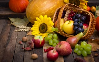 Обои pumpkin, harvest, дистья, тыква, leaves, autumn, still life, урожай, осень, fruits, nuts