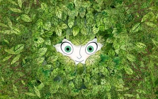 Картинка The Secret of Kells, листва, Aisling, взгляд, Эшлинг, улыбка, зелёные глаза, фентези, Тайна Келлс, мультфильм