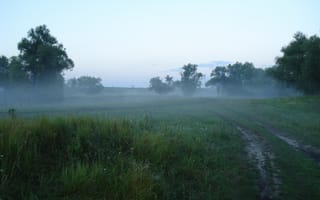 Картинка Поволжье, раннее утро, туман