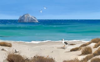 Картинка арт, песок, чайки, птицы, скала, море, берег, трава