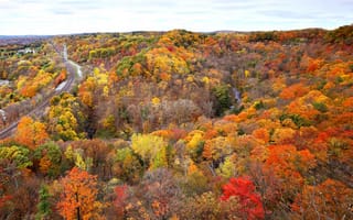 Картинка лес, Канада, дорога, река, деревья, рельсы, Онтарио, осень