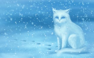 Картинка арт, белая, следы, зима, кошка, снег