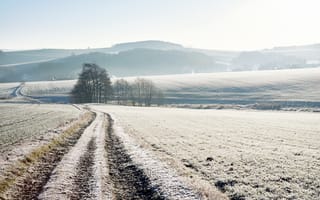 Картинка зима, поле, снег, дорога, утро