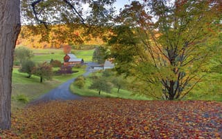Картинка осень, листья, дома, дорога, деревья