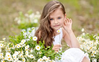 Картинка Bellis, ребенок, маргаритки, маленькая девочка, Little, цветы, взгляд, girls, лето