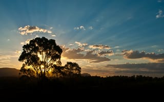 Картинка закат, лучи солнца, Australia, деревья, вечер, горы, лучи, лес, австралия, облака, солнце, дерево