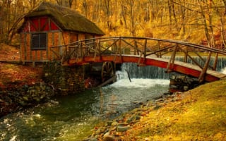 Картинка осенью, природы, деревья, мельница, листья, реки, пейзаж