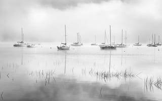 Картинка mist, fog, lake, dawn, sailboats