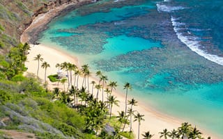 Картинка Oahu, пляж, Hawaii, коралловый риф, океан, пальмы