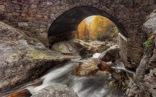 Картинка природа, мост, лес, осень, река