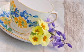 Картинка чашка, цветы, герань, желтая, блюдце