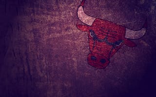 Картинка Chicago Bulls, бык, минимализм, кожа