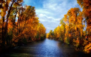 Обои осень, небо, река, деревья