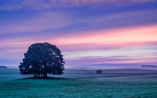 Картинка Yorkshire Dales, Gargrave, Autumn, morning