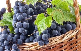 Картинка Grapes, ягоды, drops, raceme, виноград, гроздь, leaves, синий, роса, листья, чёрный, basket, корзина, dew, капли, black, berry, blue