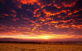 Картинка закат, поле, пейзаж