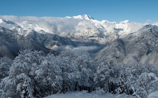 Картинка горы, снег, зима, дервья