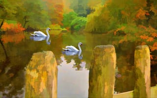 Обои лебеди, озеро, картина