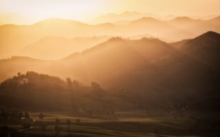 Картинка tree, morning, sunrise, hills, fog