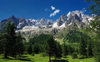 Картинка Mont Blanc, Альпы, горы, деревья, Монблан, Alps