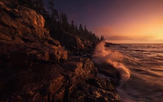Картинка rock, coast, sea, tree, wave, sunset