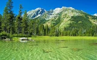 Картинка парк, горы, вода, пейзаж, природа, США, Grand Teton